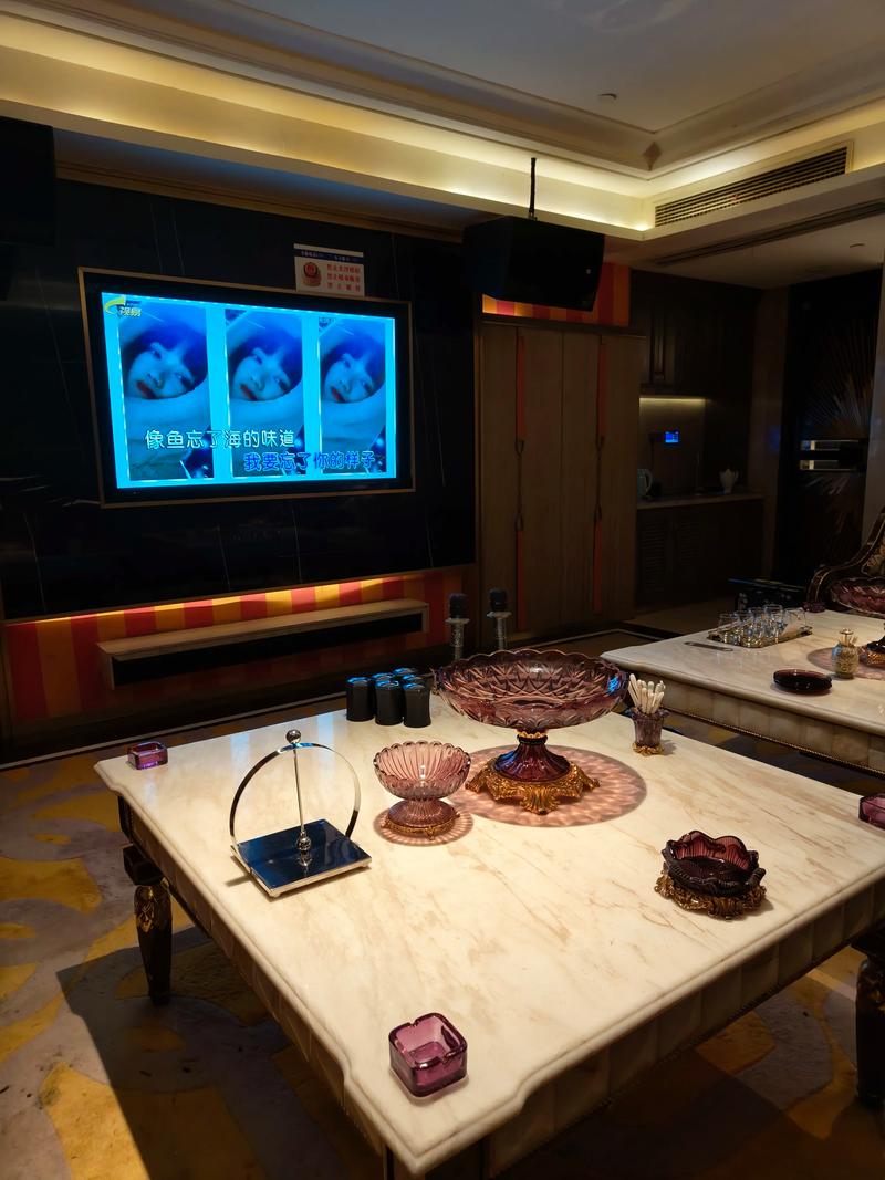 陇南商务ktv体验商务ktv怎么样-康县ktv预订